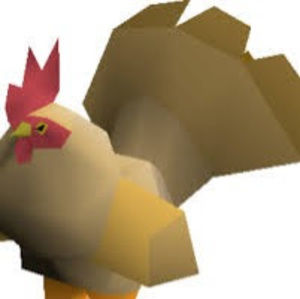 Meet your Posher, Derek